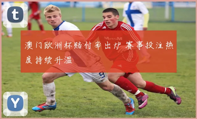 澳门欧洲杯赔付率出炉 赛事投注热度持续升温