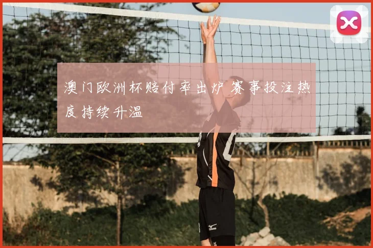 澳门欧洲杯赔付率出炉 赛事投注热度持续升温